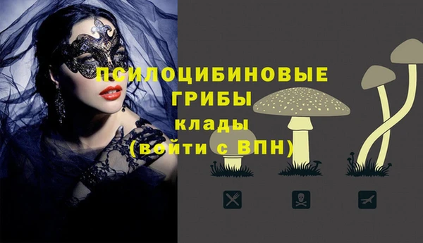 синтетический гашиш Арсеньев