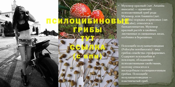амфетамин Аркадак